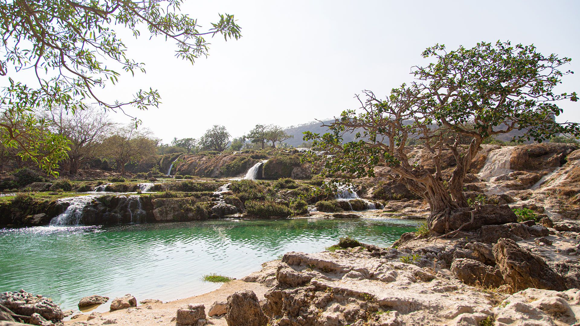 Wadi Darbat - rajska dolina Omanu