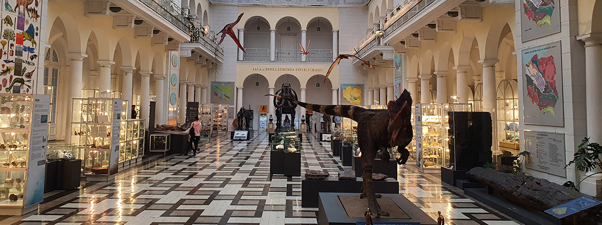 Zwiedzamy Muzeum Geologiczne w Warszawie
